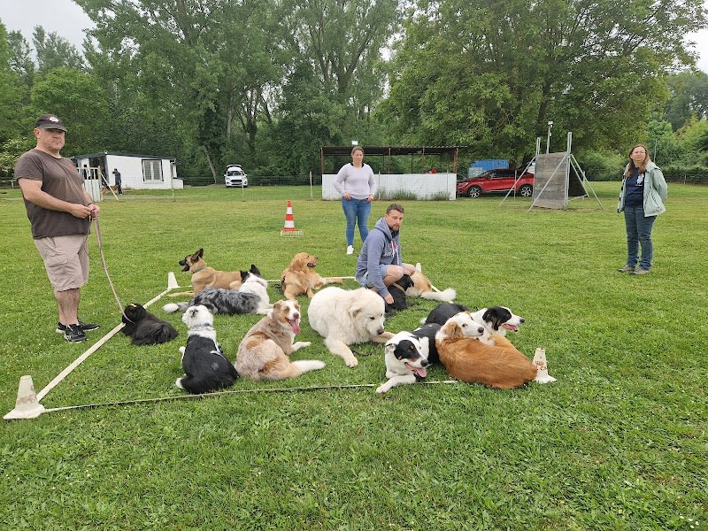 Centre education canine fenouillet — photo