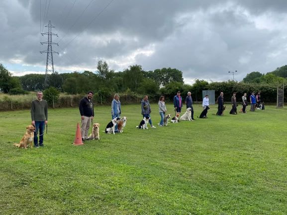 Centre education canine fenouillet — photo