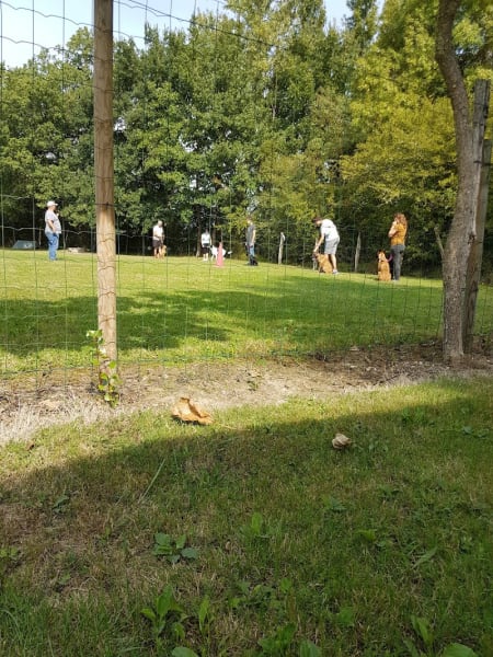 Club canin du frontonnais — photo