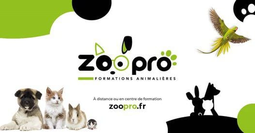 Zoopro formations animaux — photo