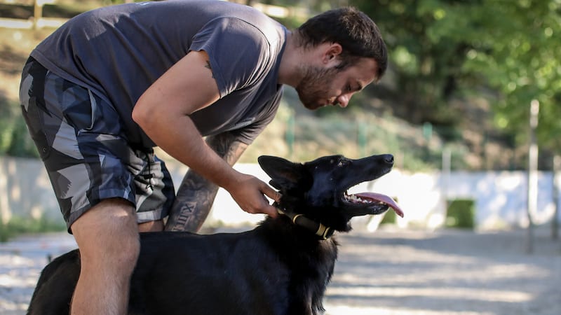 Éducateur Canin - Robin — photo