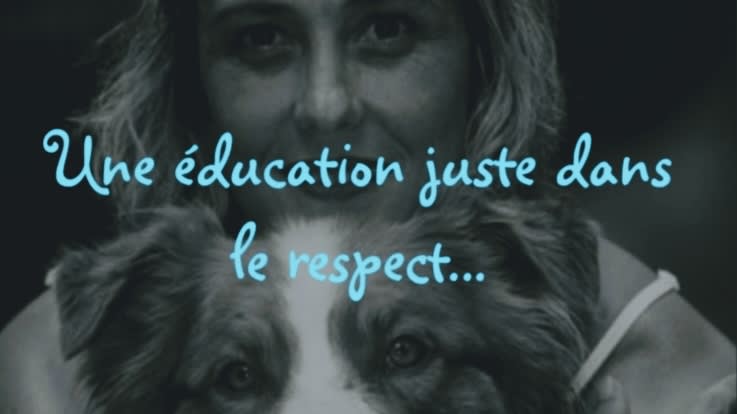 SymbiOX éducatrice canin/Educatrice spécialisée — photo