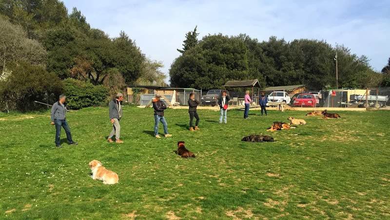 Éducation Canine de la Rose des Vents — photo