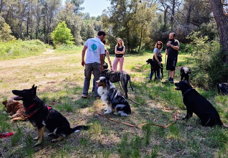 François ILLY - Sirius Education Canine à domicile — photo