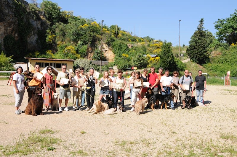 Cercle Canin 06 de Grasse — photo