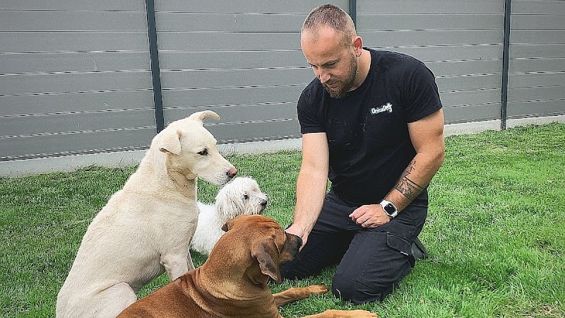 Unicadog, éducateur comportementaliste canin à Nantes et Loire Atlantique, 44 — photo