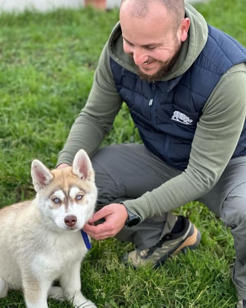 Unicadog, éducateur comportementaliste canin à Nantes et Loire Atlantique, 44 — photo