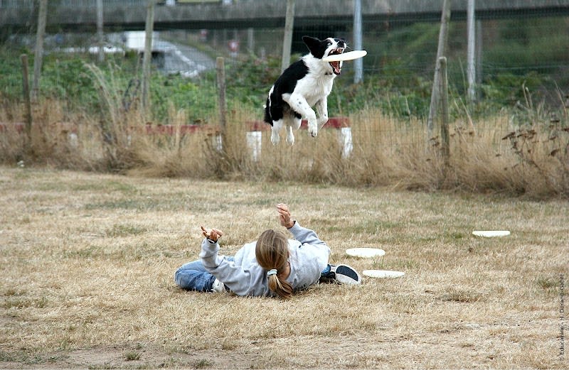 Educanine — photo