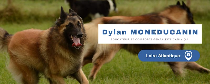 Dylan MonEducanin - Educateur Comportementaliste Canin — photo
