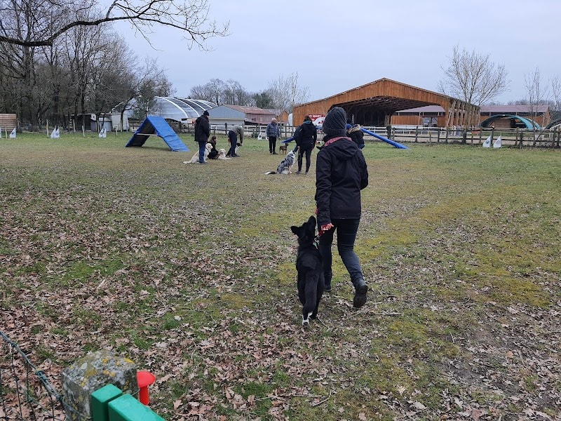 Les Sorinières - Club d'éducation Canine et Sportive — photo