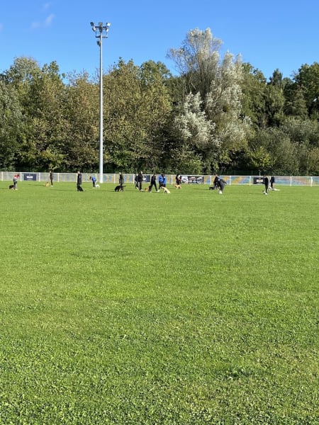 Training Club Canin Strasbourg — photo