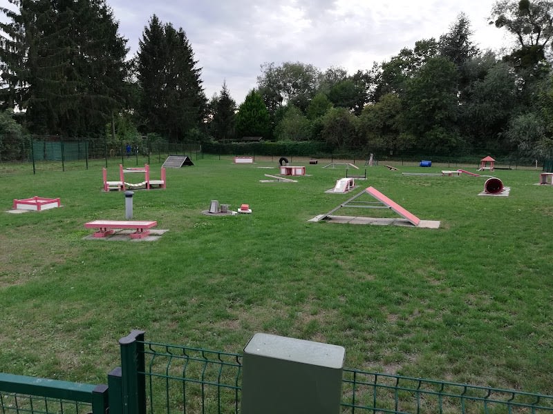 Training Club Canin Strasbourg — photo