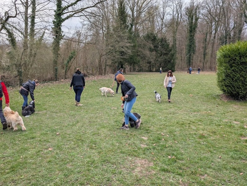 Club canin ACD 78 — photo