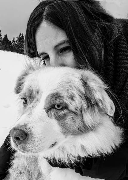Éducateur Canin Relax dog - Garde d'animaux — photo