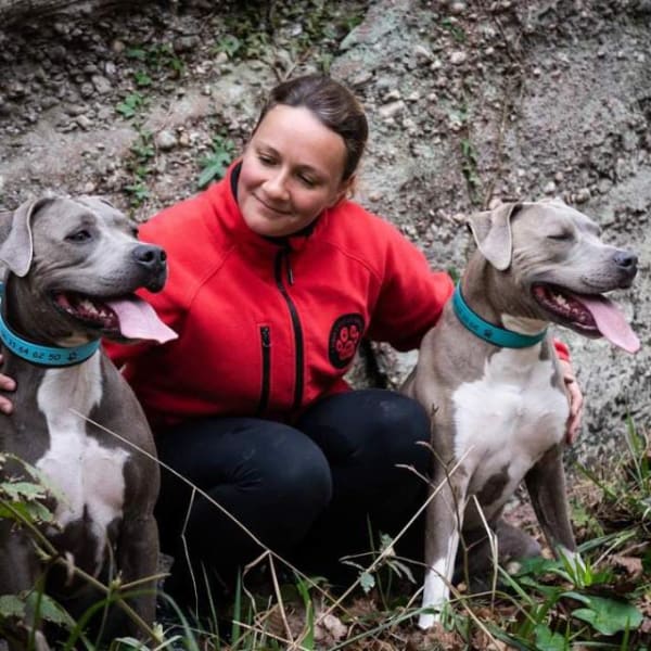 EDUC PATTES - Educateur Comportementaliste canin - Formations — photo