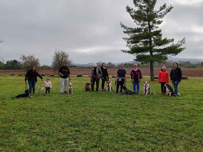 EDUC PATTES - Educateur Comportementaliste canin - Formations — photo
