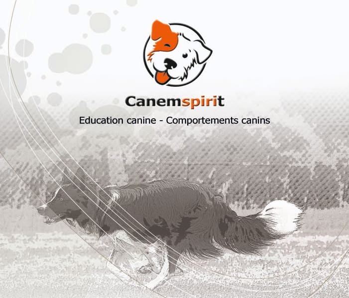 Canemspirit - Educateur canin — photo