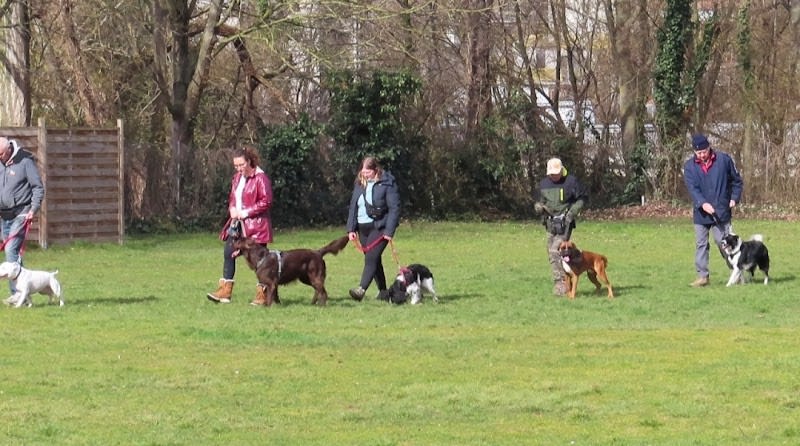 Club canin de Bischheim — photo