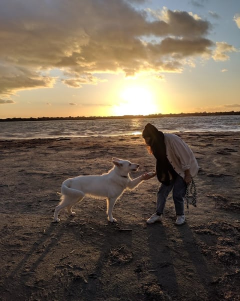 Le temps du chien - Education canine et comportement — photo
