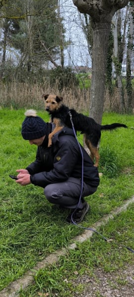 Dog'In — photo