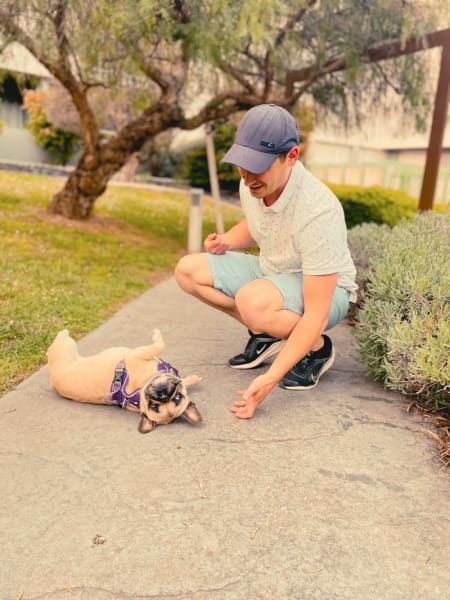 Dog'In — photo
