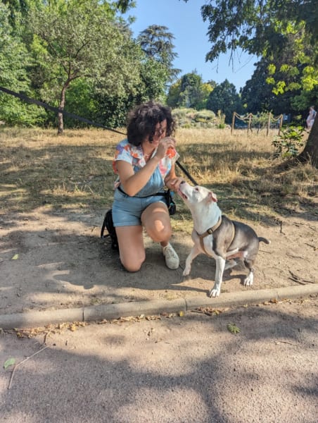 Caniéduc - Educateur et comportementaliste canin à Montpellier et alentours — photo