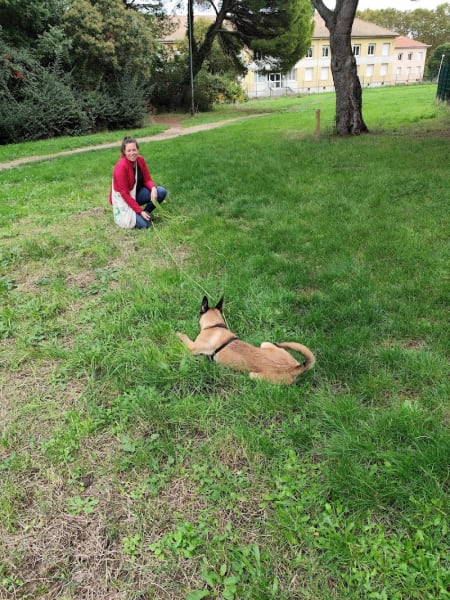 Truf'Zen - Comportementaliste Canin & Félin - Lattes et alentours — photo