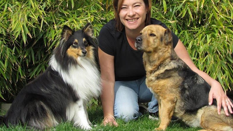 Humeurs de Chien — photo