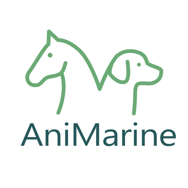 Etiopathe Animalier - AniMarine — photo