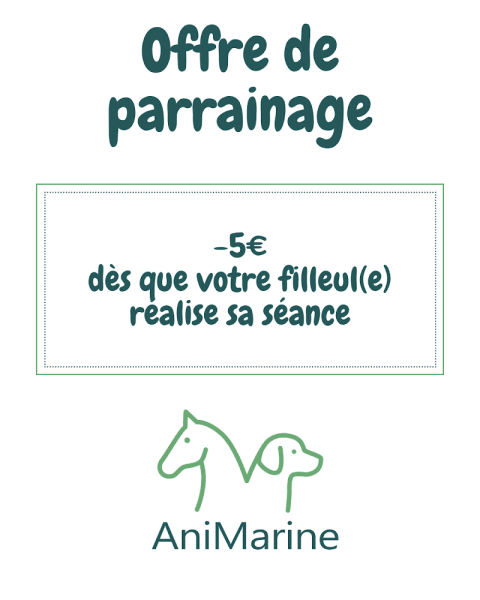 Etiopathe Animalier - AniMarine — photo
