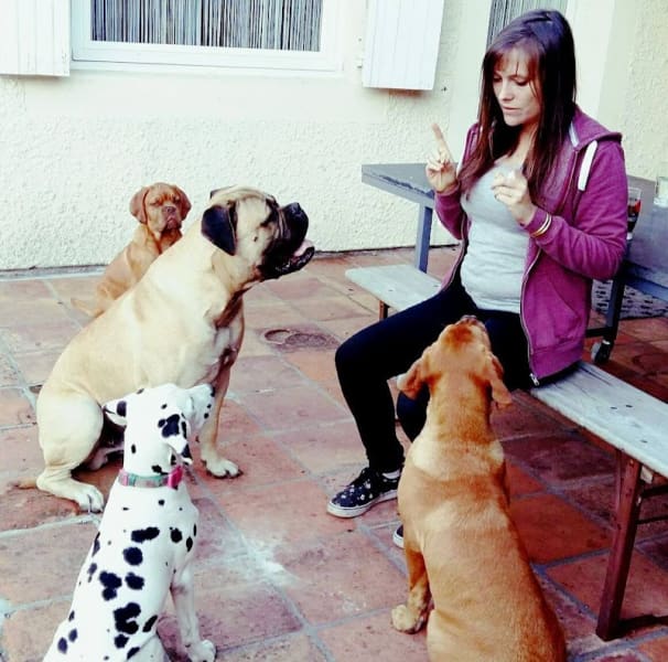 Le Domaine Des Animaux — photo