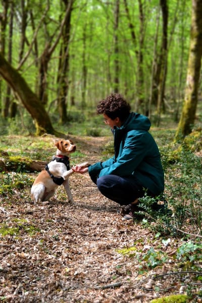 Happy Canin — photo
