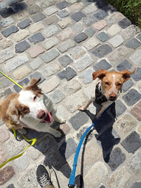 Happy Canin — photo