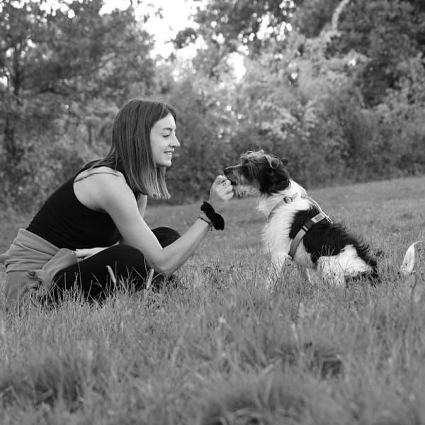 Passionnément chien - Éducation - Balades - & co’ — photo