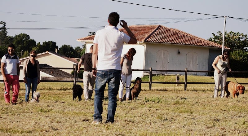 Bordog — photo