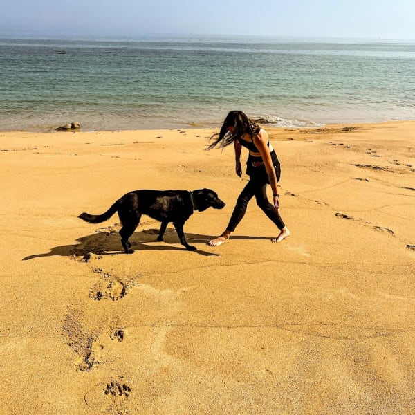 Activ Canin — photo