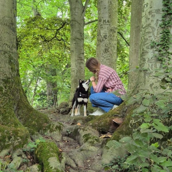 Dog n progress | Educatrice & coach en comportement canin — photo