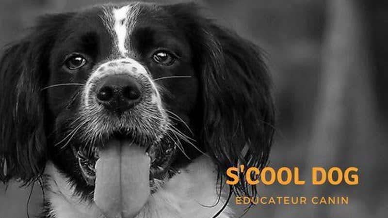 S'cooldog — photo