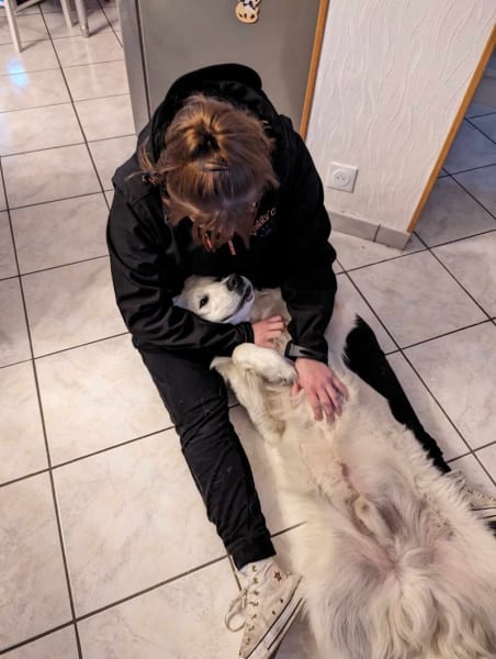 Doggy’Cation – Éducation & Comportement Canin à Loos — photo