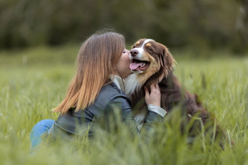Entre Pawtes - Éducateur comportementaliste canin — photo