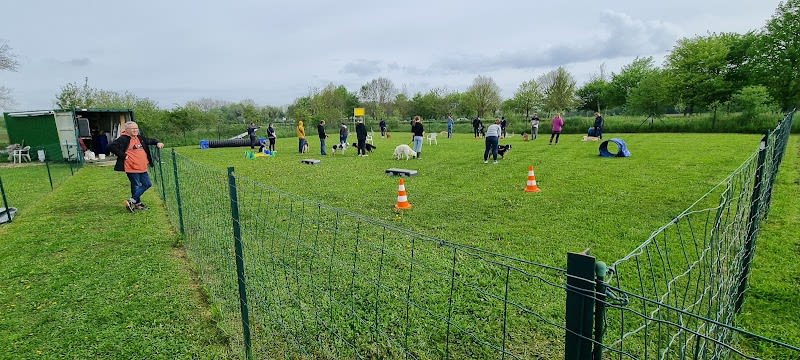 Club d'Education et d'Activités Canines de Wavrin — photo