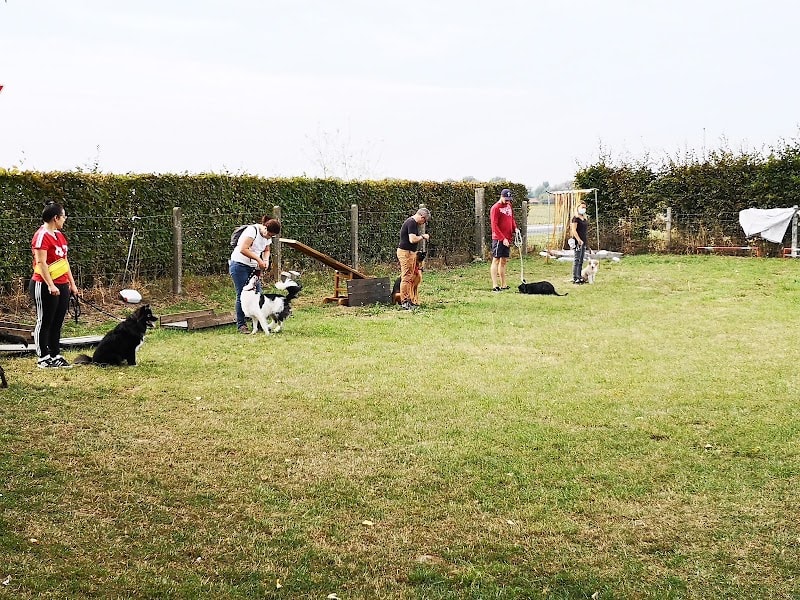 Club Canin d'Emmerin — photo