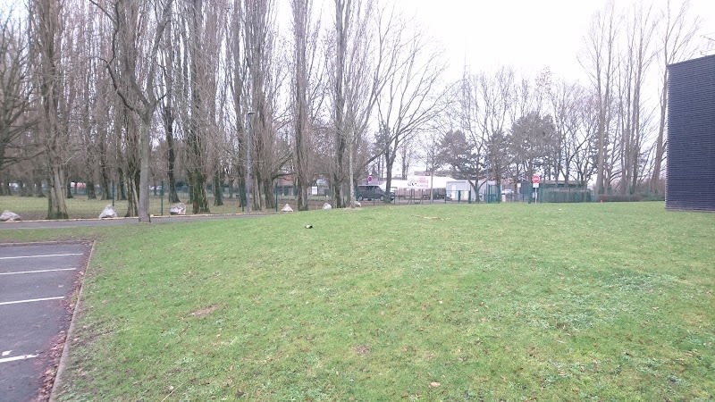 Club cynophile villeneuvois — photo