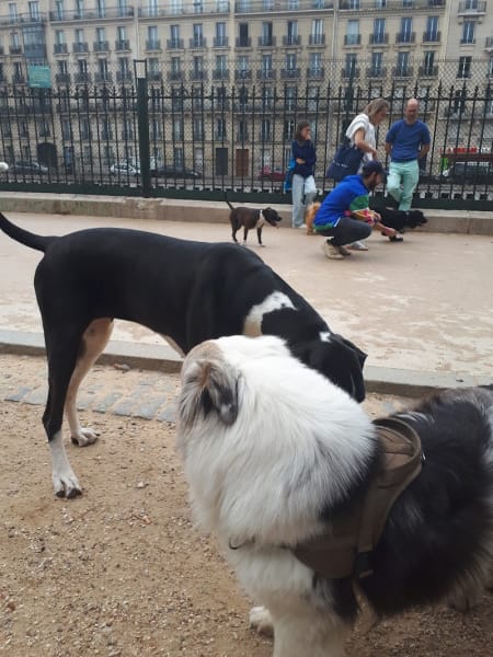 Espace Canin du Square des Batignolles — photo