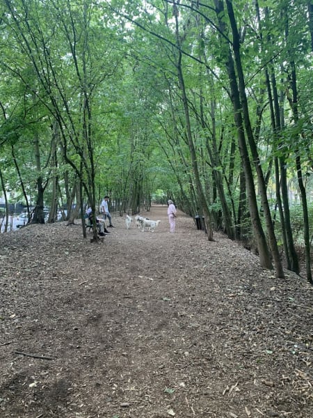 Espace canin de la petite ceinture du 16ème arrondissement — photo