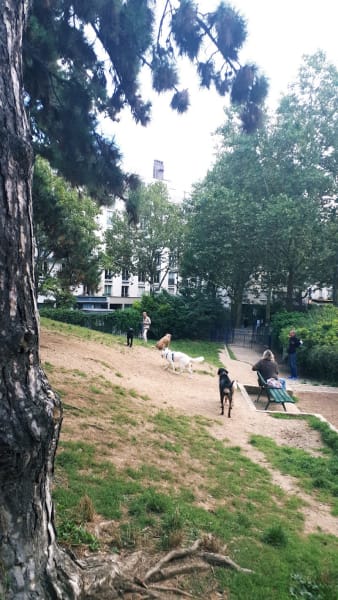 Allée des Chiens du Parc Georges Brassens — photo