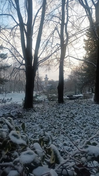 Allée des Chiens du Parc Georges Brassens — photo