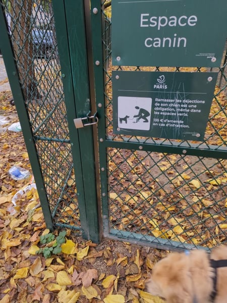 Parc canin — photo