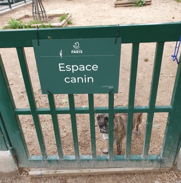 Caniparc des Épinettes — photo