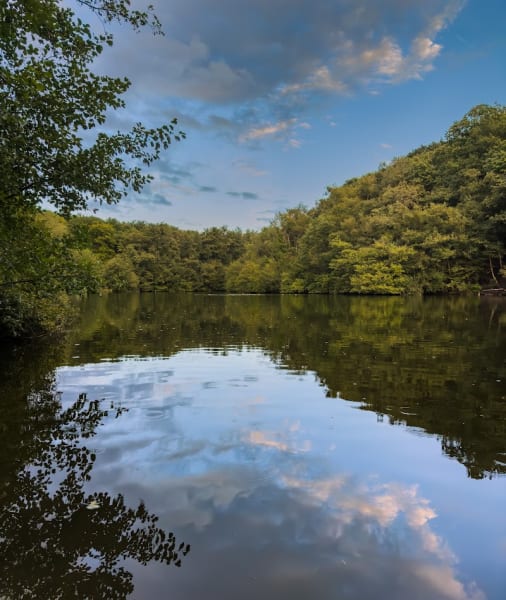 Forêt domaniale de Meudon — photo